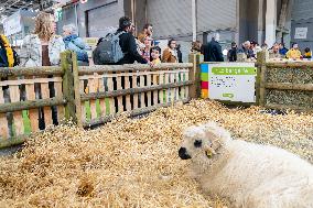61st Agricultural Fair - Paris