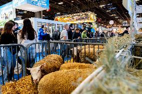61st Agricultural Fair - Paris