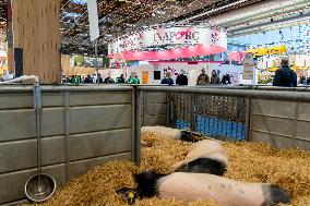 61st Agricultural Fair - Paris