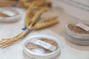 61st Agricultural Fair - Paris