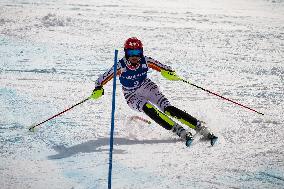 Audi FIS Ski World Cup Sestriere 2025