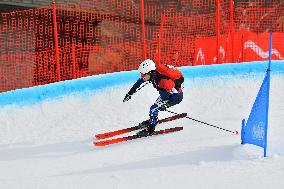 SPORT INVERNALI - Sci Alpino - ISMF World Cup - Ski Mountaineering