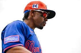 New York Mets Vs St Louis Cardinals