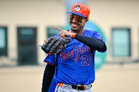 New York Mets Vs St Louis Cardinals