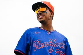 New York Mets Vs St Louis Cardinals