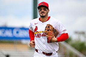 New York Mets Vs St Louis Cardinals