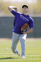 Baseball: MLB spring training