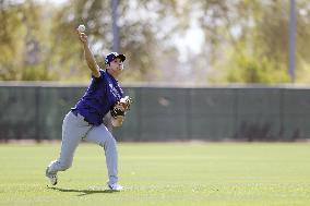 Baseball: MLB spring training