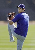 Baseball: MLB spring training
