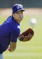 Baseball: MLB spring training