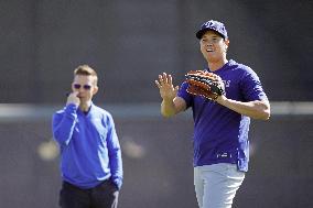 Baseball: MLB spring training
