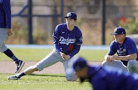 Baseball: MLB spring training