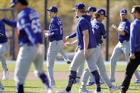 Baseball: MLB spring training