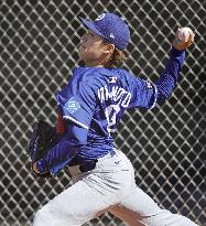 Baseball: MLB spring training