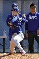 Baseball: MLB spring training