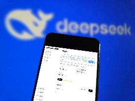 DeepSeek API