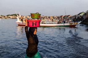 Tanjung Luar Fish Market In Lombok, Indonesia