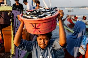 Tanjung Luar Fish Market In Lombok, Indonesia