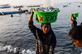 Tanjung Luar Fish Market In Lombok, Indonesia