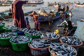 Tanjung Luar Fish Market In Lombok, Indonesia