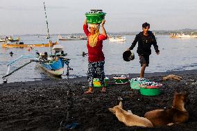 Tanjung Luar Fish Market In Lombok, Indonesia