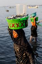 Tanjung Luar Fish Market In Lombok, Indonesia