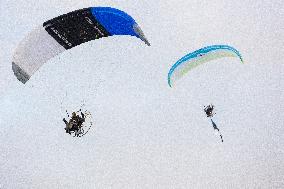 Estonian Independence day