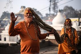 Eve Of Maha Shivaratri Festival At The Pashupatinath Temple.