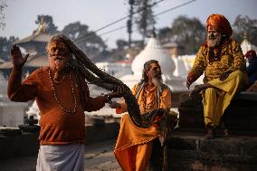 Eve Of Maha Shivaratri Festival At The Pashupatinath Temple.