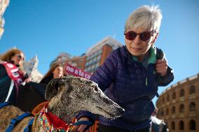 Dog Hunting Protest