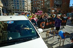 Dog Hunting Protest