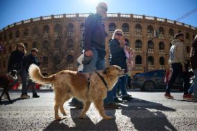 Dog Hunting Protest