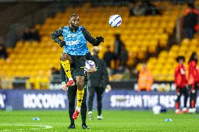 Wolverhampton Wanderers FC v Fulham FC - Premier League