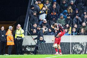 Wolverhampton Wanderers FC v Fulham FC - Premier League