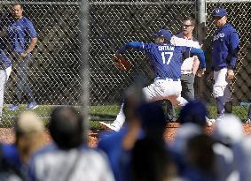 Baseball: MLB spring training