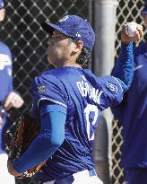 Baseball: MLB spring training