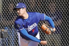 Baseball: MLB spring training