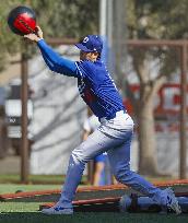 Baseball: MLB spring training