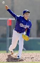 Baseball: MLB spring training