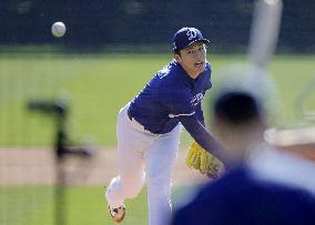 Baseball: MLB spring training