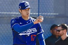 Baseball: MLB spring training