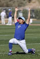 Baseball: MLB spring training