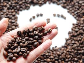 Coffee Bean Prices Rise