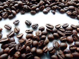 Coffee Bean Prices Rise