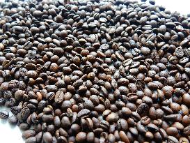 Coffee Bean Prices Rise