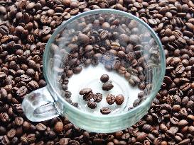 Coffee Bean Prices Rise