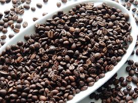Coffee Bean Prices Rise
