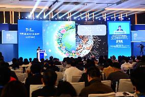 United Nations Ocean Decade Ocean Cities Conference in Qingdao