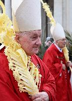 The Cardinals ‘Papabile’ - Vatican