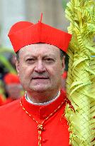 The Cardinals ‘Papabile’ - Vatican